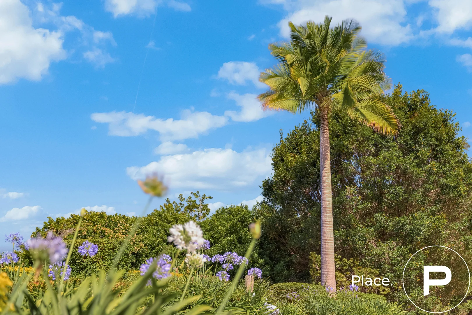 Additional image 43 of 8/71 McNamara Road, Rocksberg QLD 4510