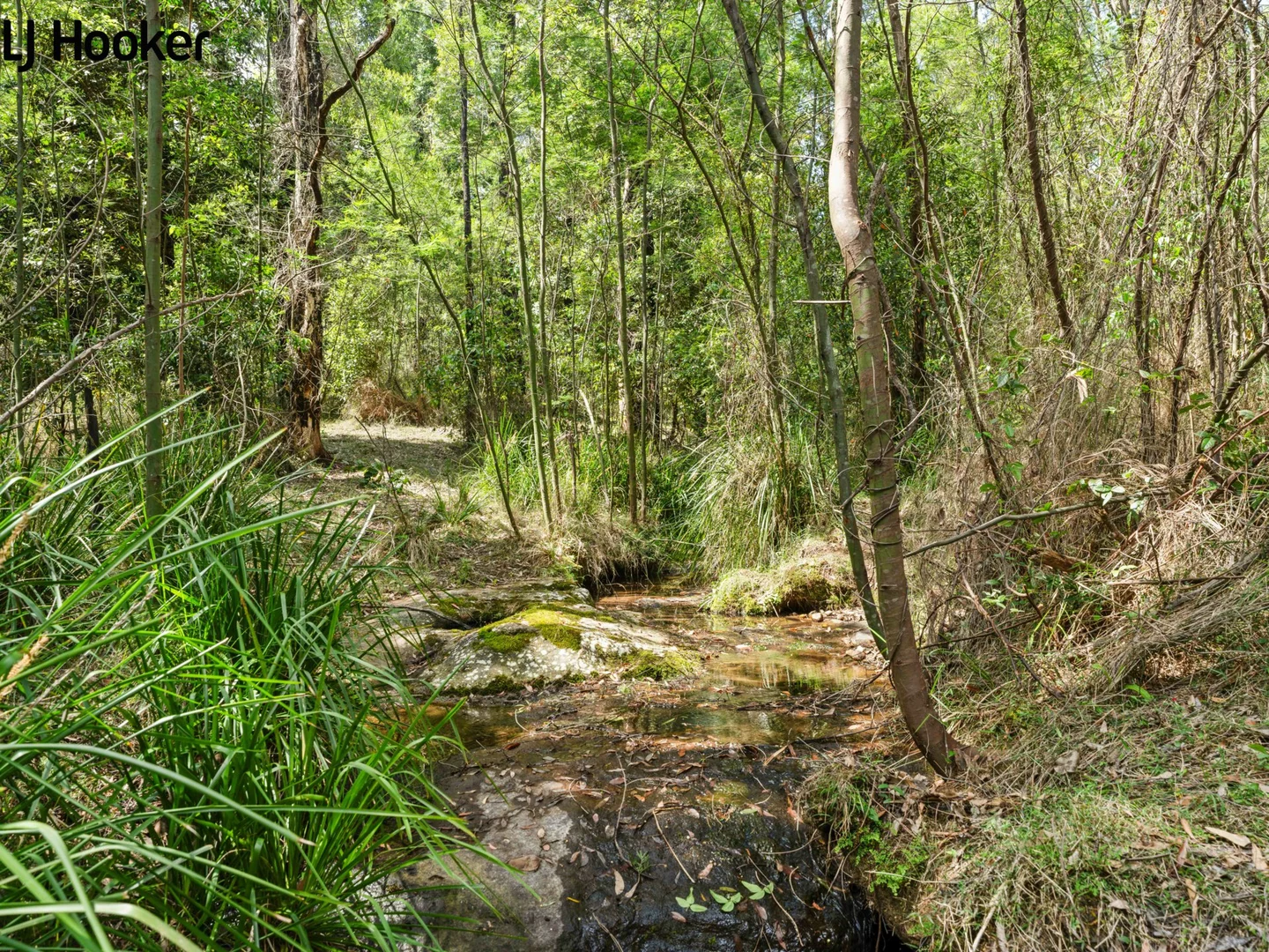 Additional image 31 of 788 Bugong Road, Budgong, Kangaroo Valley NSW 2577