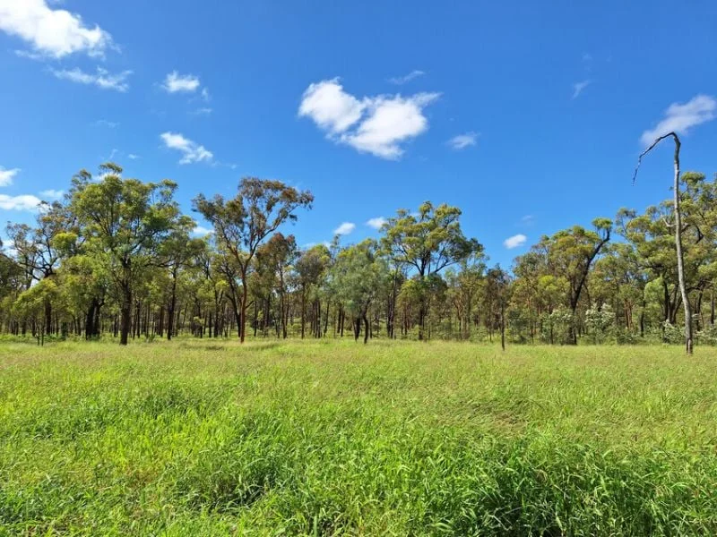 Additional image 18 of 6743 Dunrobin Road, Jericho QLD 4728