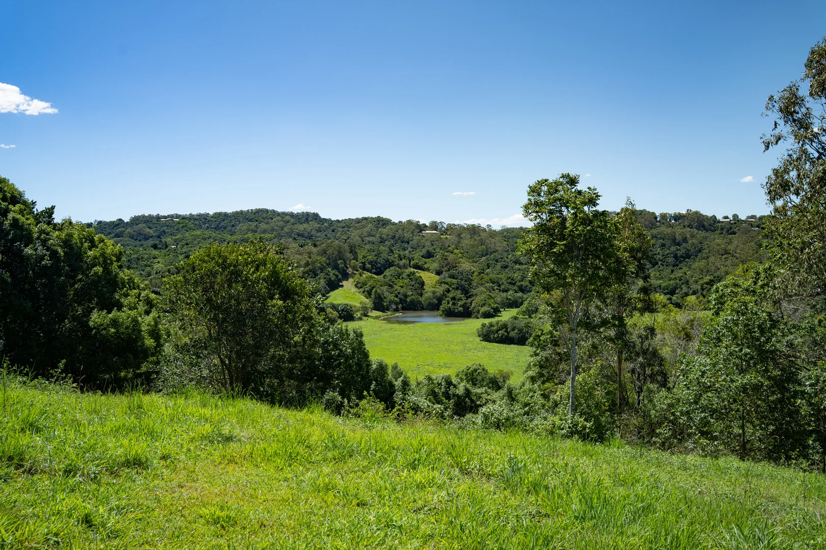 Additional image 16 of 165 Larneys Lane, Eerwah Vale QLD 4562