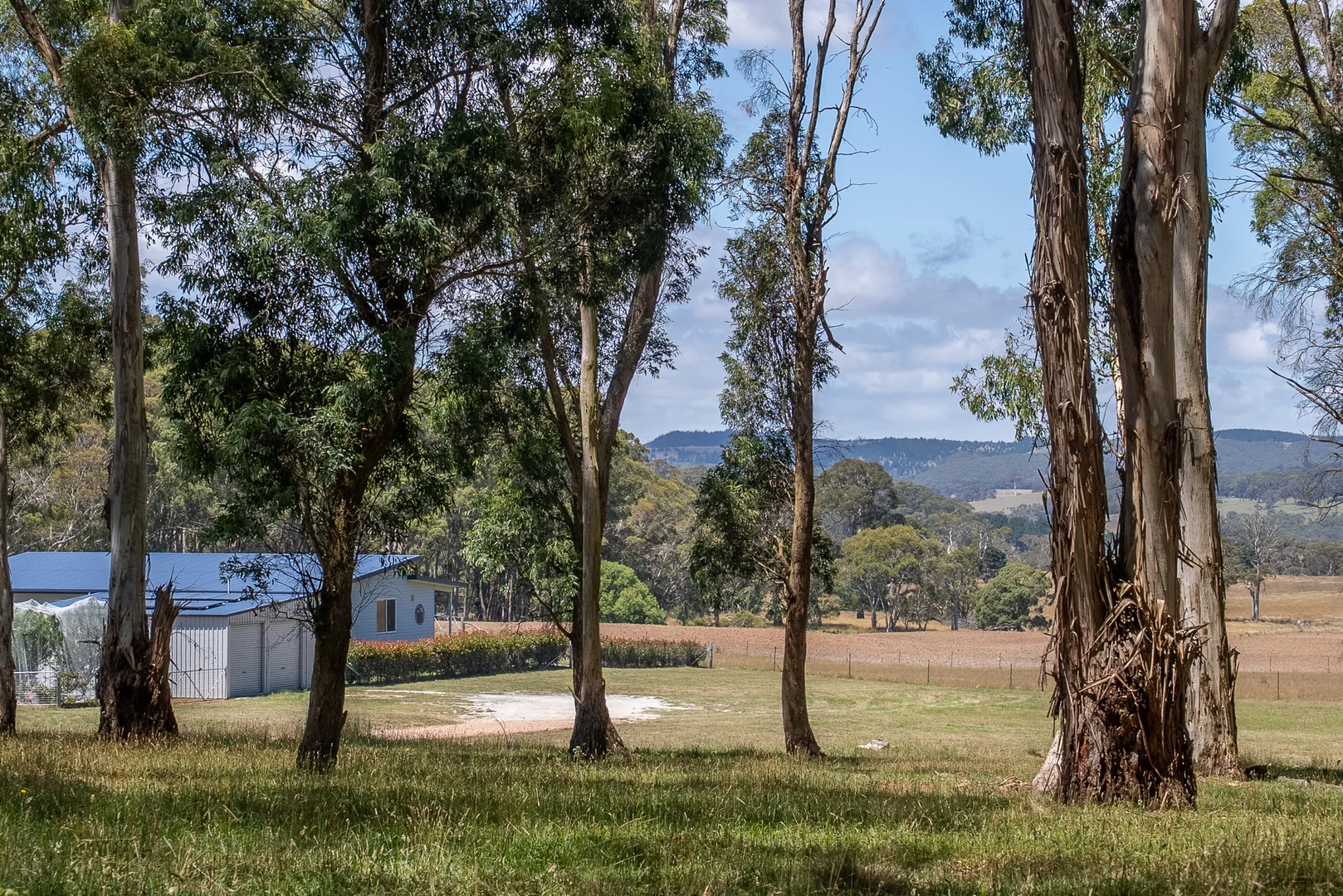 Additional image 6 of 951 Shooters Hill Road, Chatham Valley NSW 2787