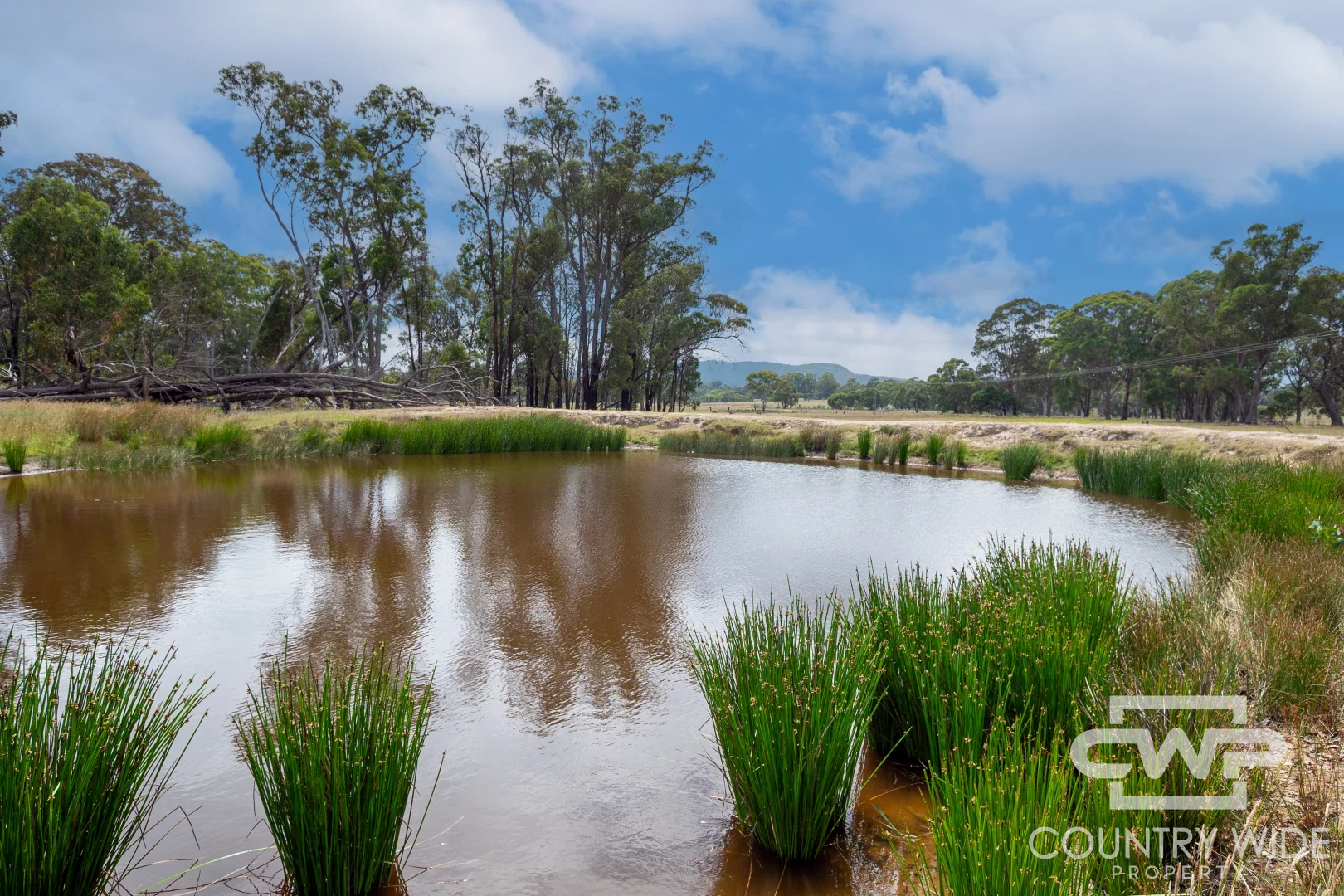 Additional image 5 of 320 Cemetery Road, Torrington NSW 2371