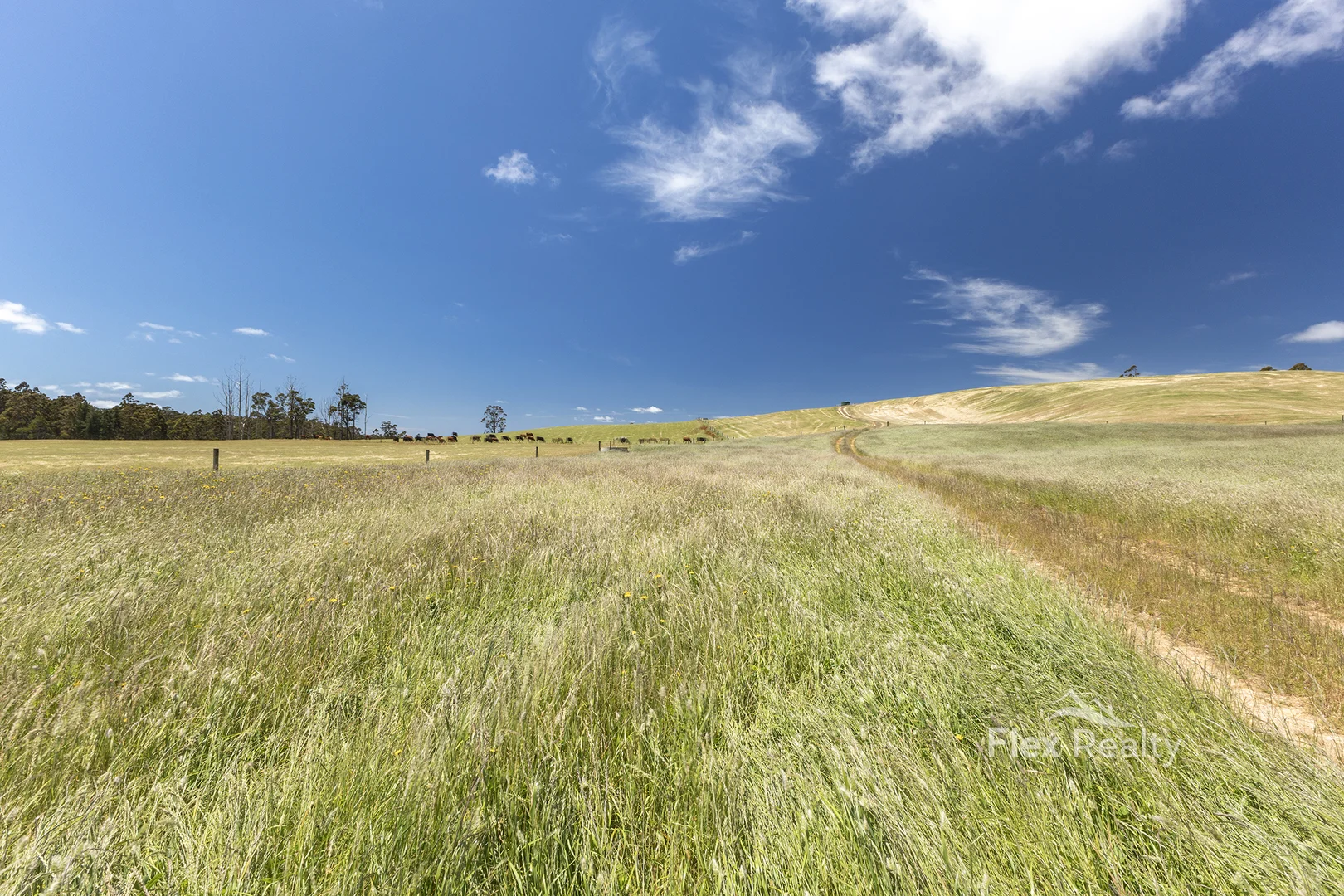 Additional image 12 of 0 Newhaven Road, Mawbanna TAS 7321