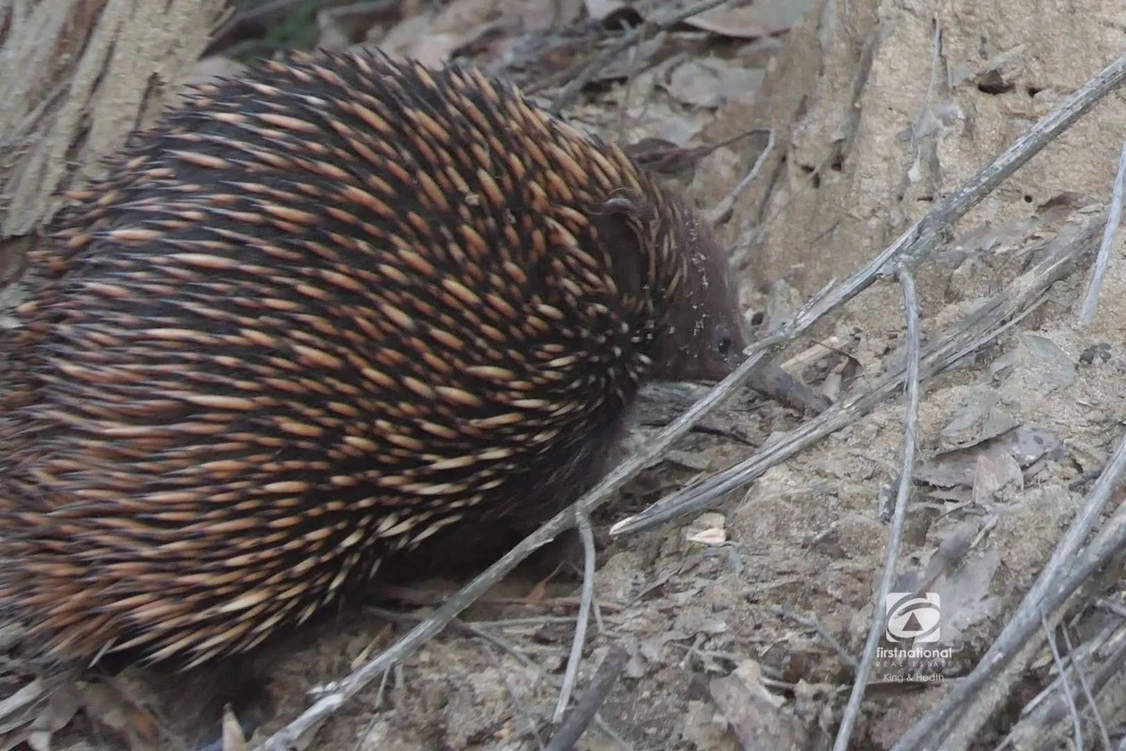Additional image 21 of 148 Veldens Road, Toorloo Arm VIC 3909