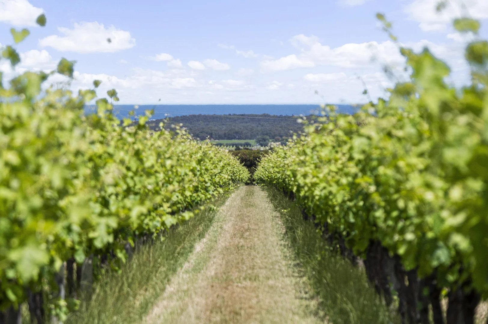 Additional image 14 of 185 Ryan Road, Sellicks Hill SA 5174