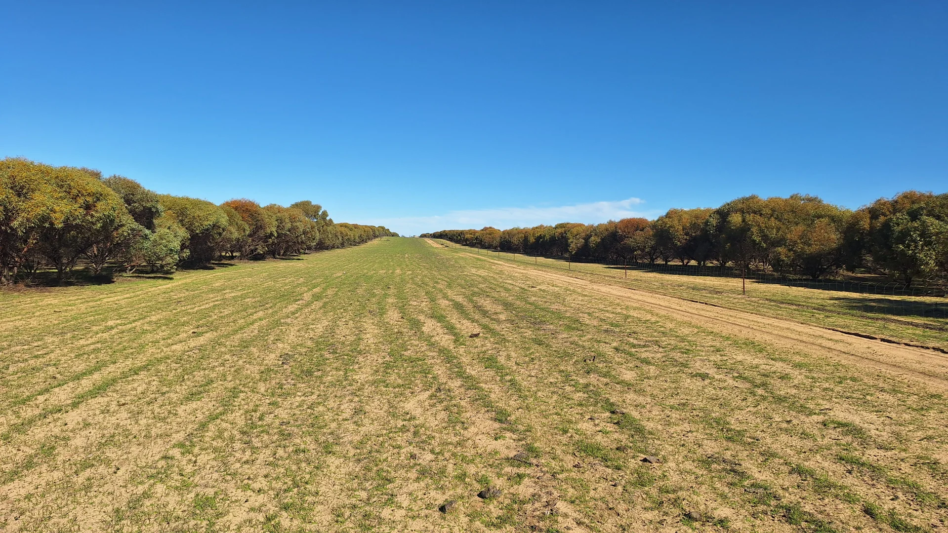 Additional image 9 of 1888 Launer Road, Eganu WA 6515