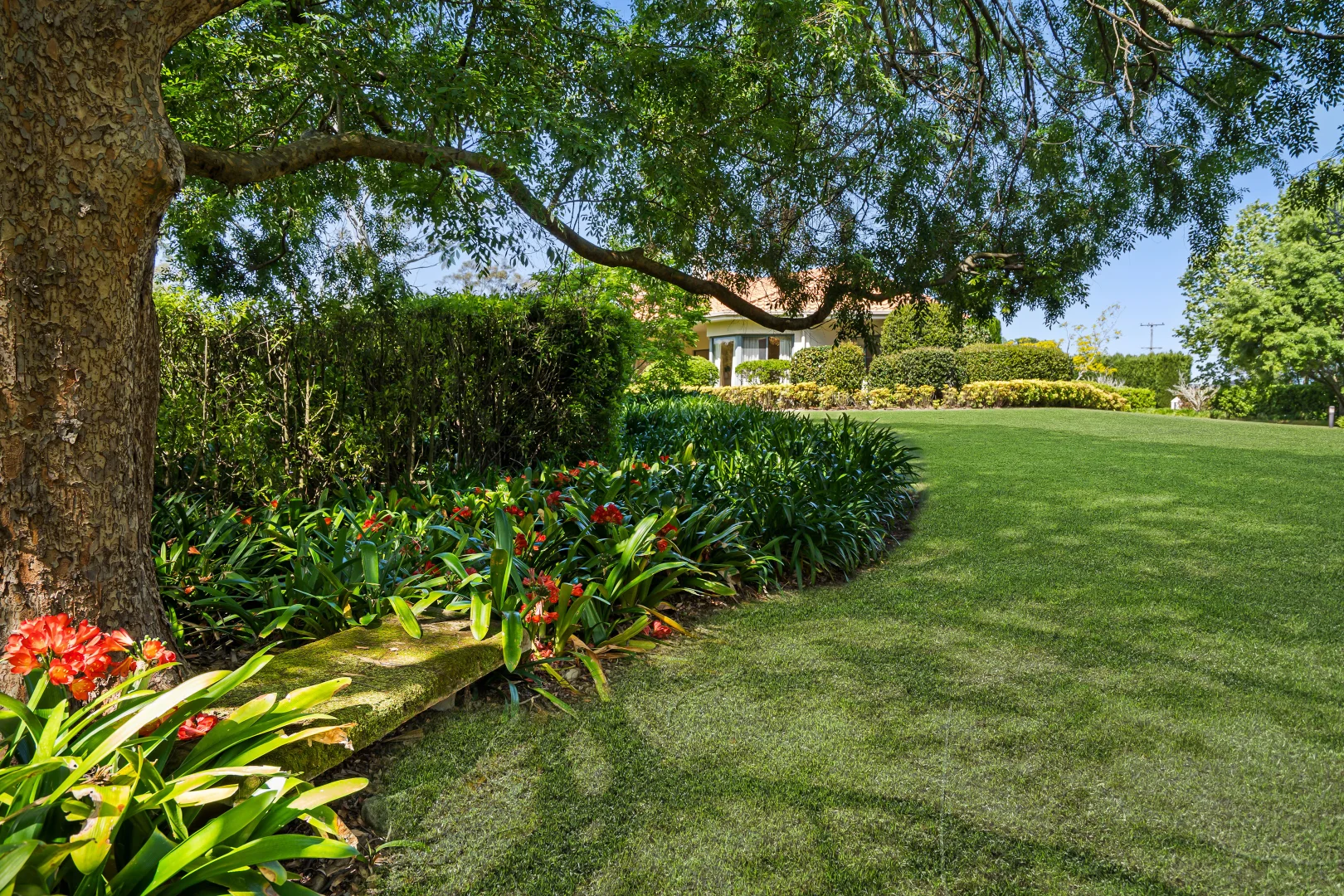 Additional image 31 of 17-19 Harris Road, Dural NSW 2158