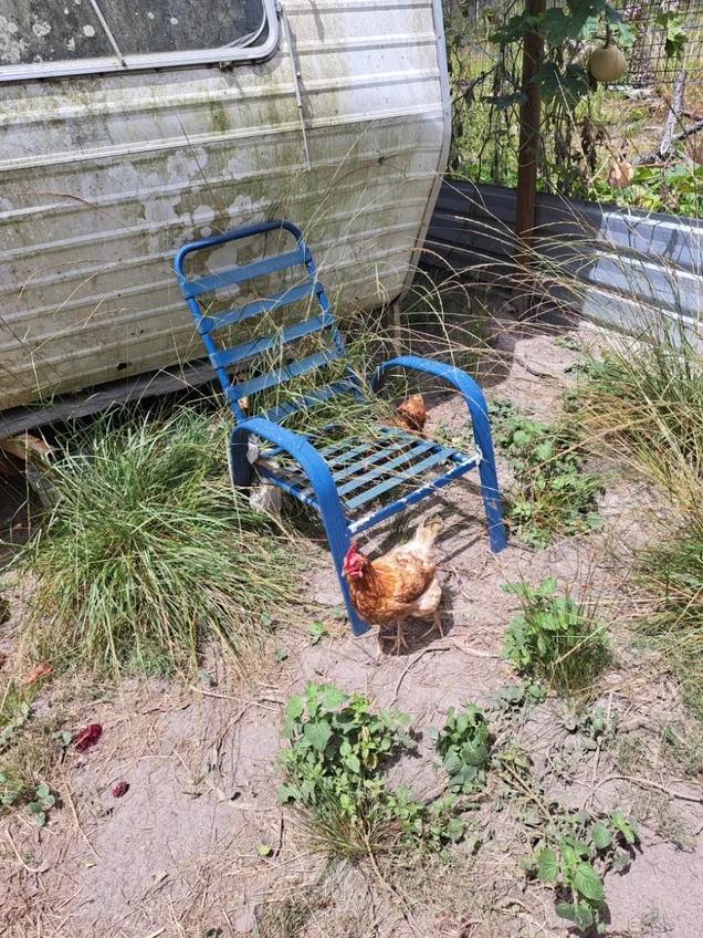 Additional image 36 of 47 Osborne Court, Wallu QLD 4570