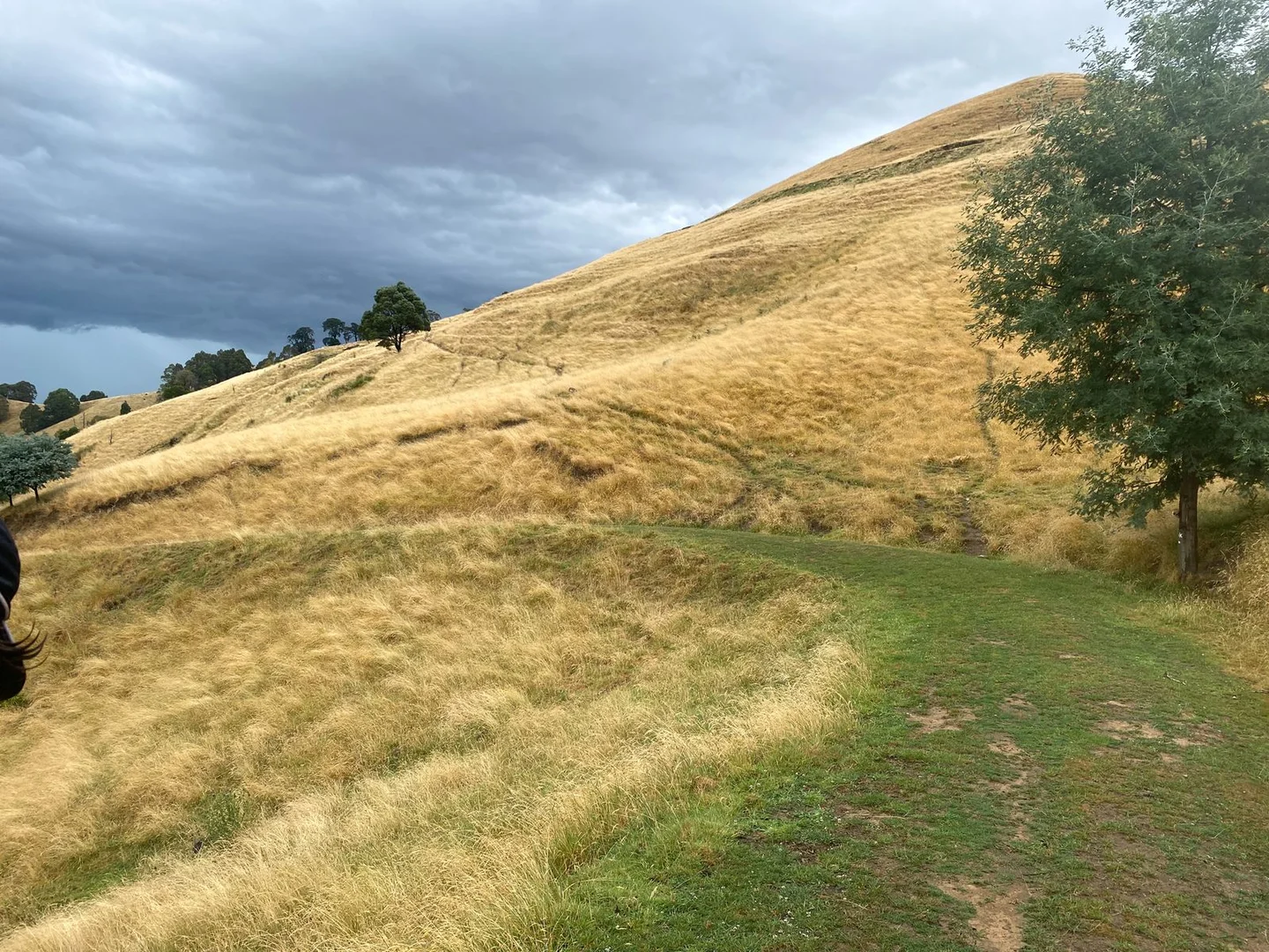 Additional image 22 of 1725 Wild Dog Valley, Strzelecki VIC 3950