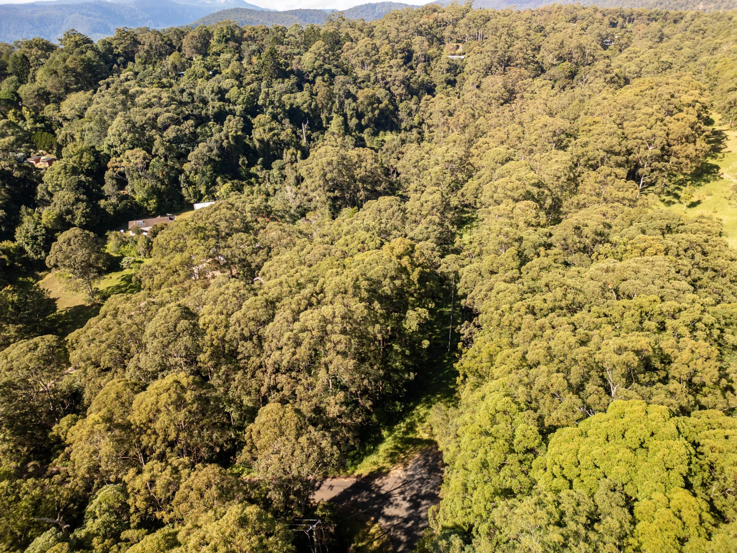 Additional image 18 of 618 Binna Burra Road, Beechmont QLD 4211