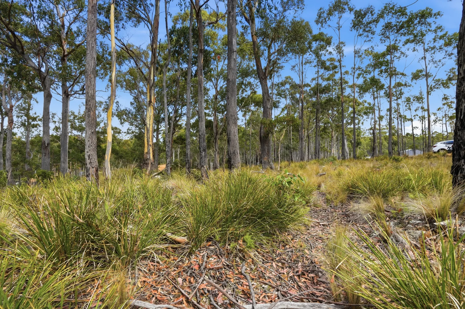 Additional image 5 of 18 Little Spit Road, Lake Leake TAS 7210