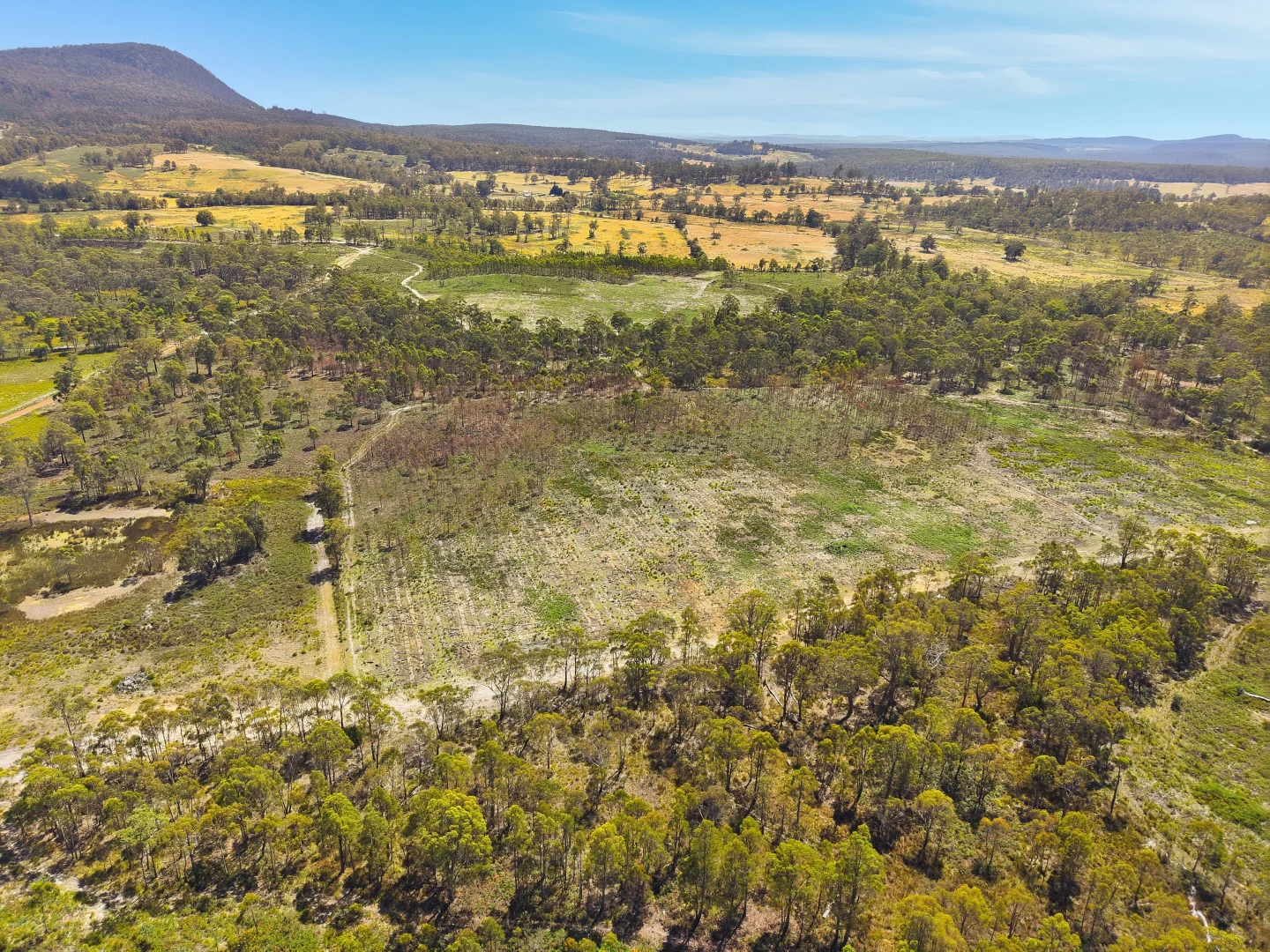 Additional image 12 of 422 Levendale Back Road, Levendale TAS 7120