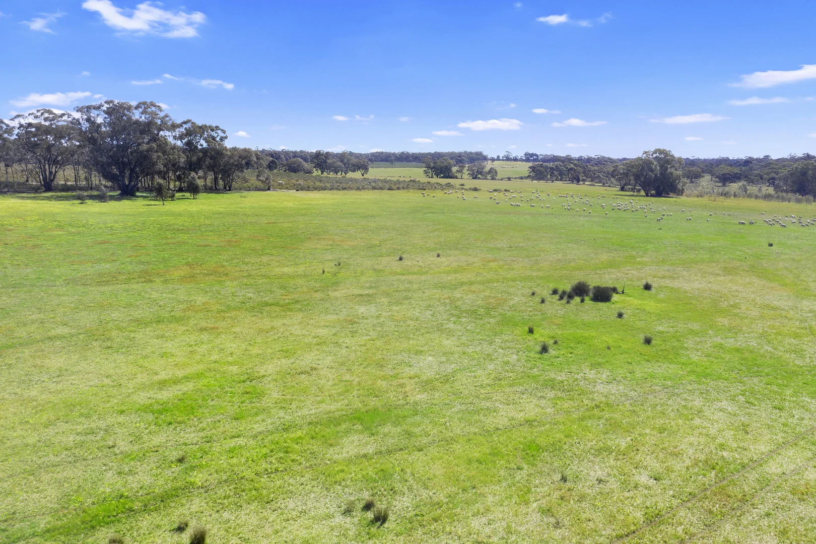 Additional image 23 of 1 Hawkins Estate, McIvor Highway, Axedale VIC 3551
