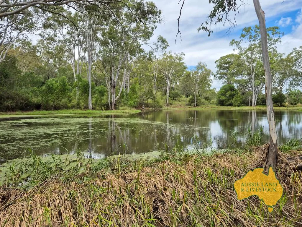 Additional image 13 of 296 Cloyna West Road, Cloyna QLD 4605