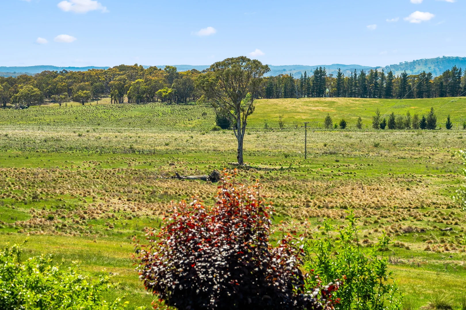 Additional image 45 of 87 Westmead Lane, Sutton NSW 2620