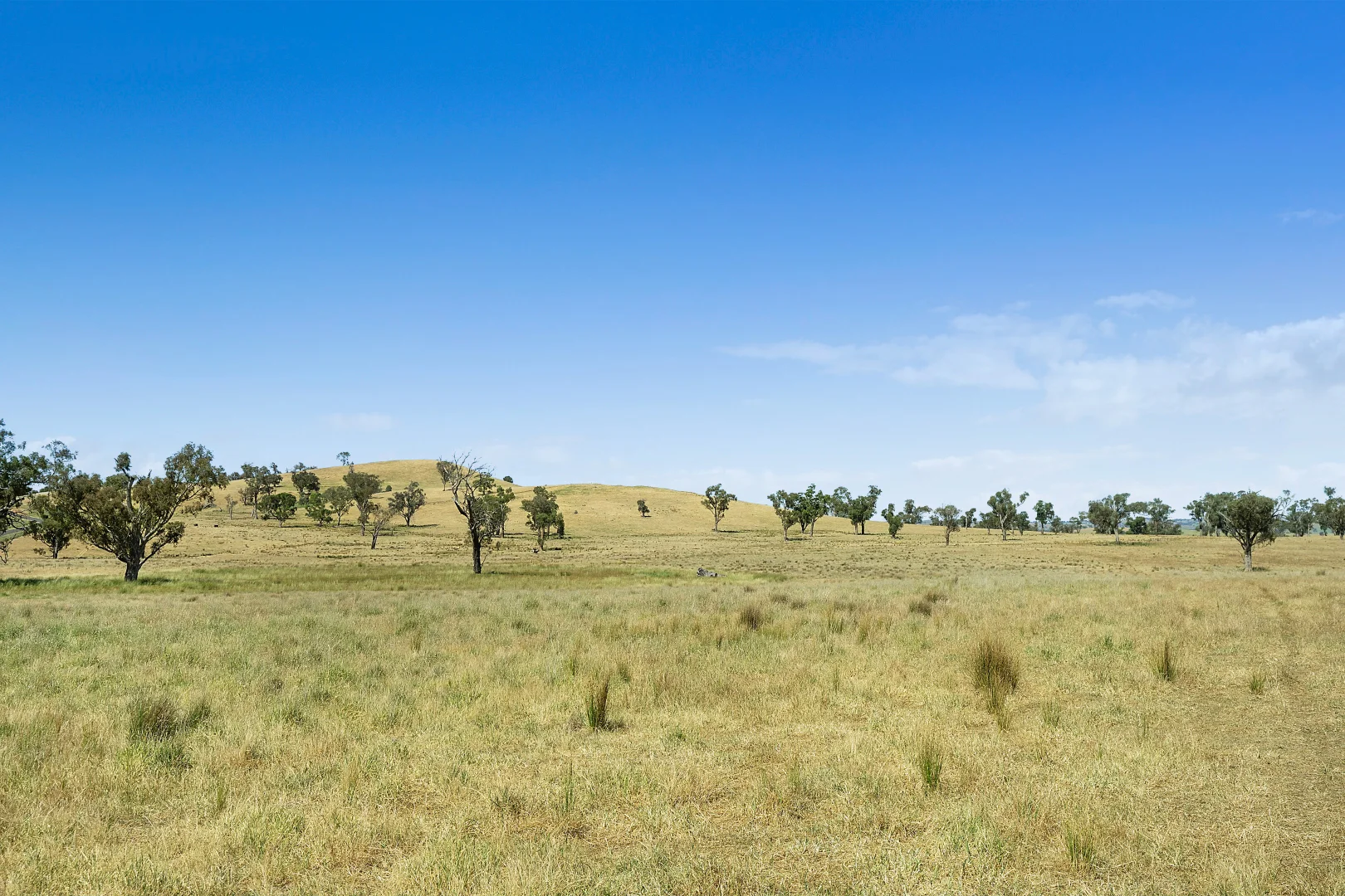 Additional image 28 of 2593 Four Mile Creek Road, Orange NSW 2800