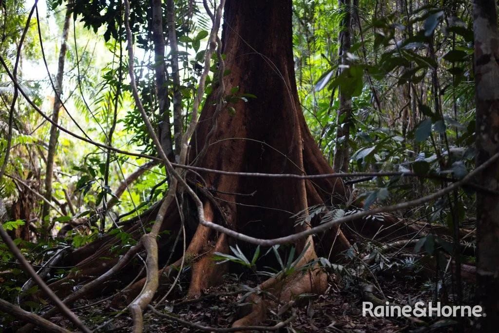 Additional image 4 of Lot 11 Milky Pine Road, Kimberley, Daintree QLD 4873