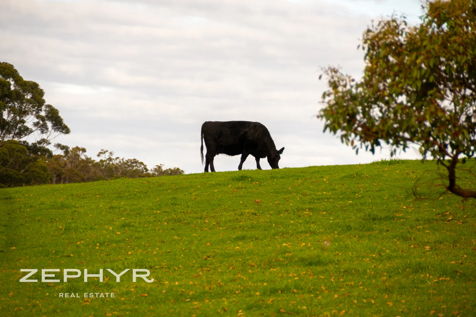 Additional image 7 of 927 Millbrook Road, Green Valley WA 6330