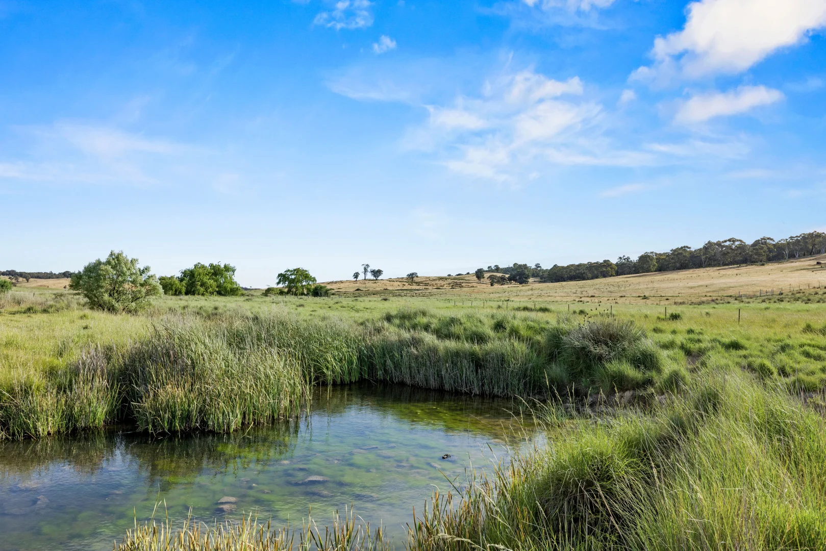 Additional image 3 of Lot 38 Gentle Destiny Road, Boorowa NSW 2586
