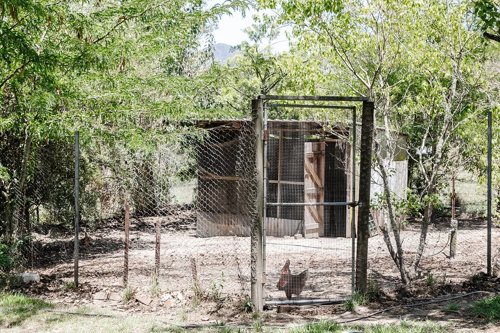 Additional image 14 of 61 Crowthers Road, Gloucester NSW 2422