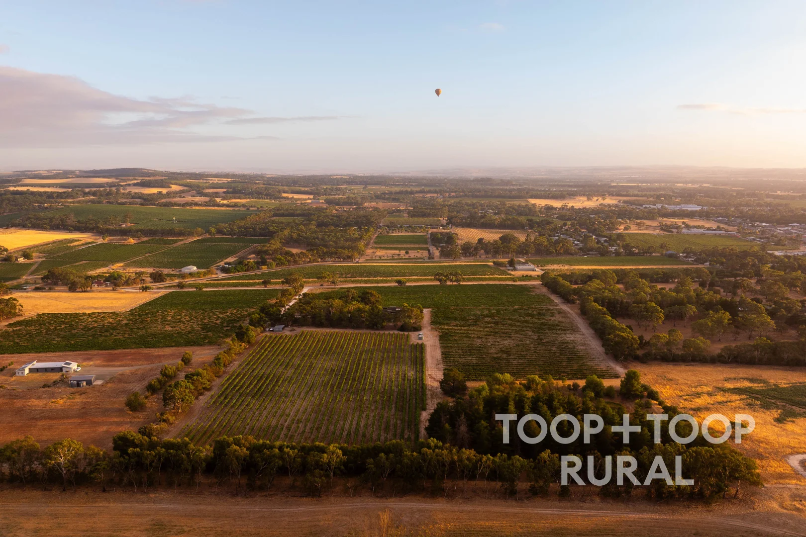 Additional image 5 of 145 Tolley Road, Nuriootpa SA 5355