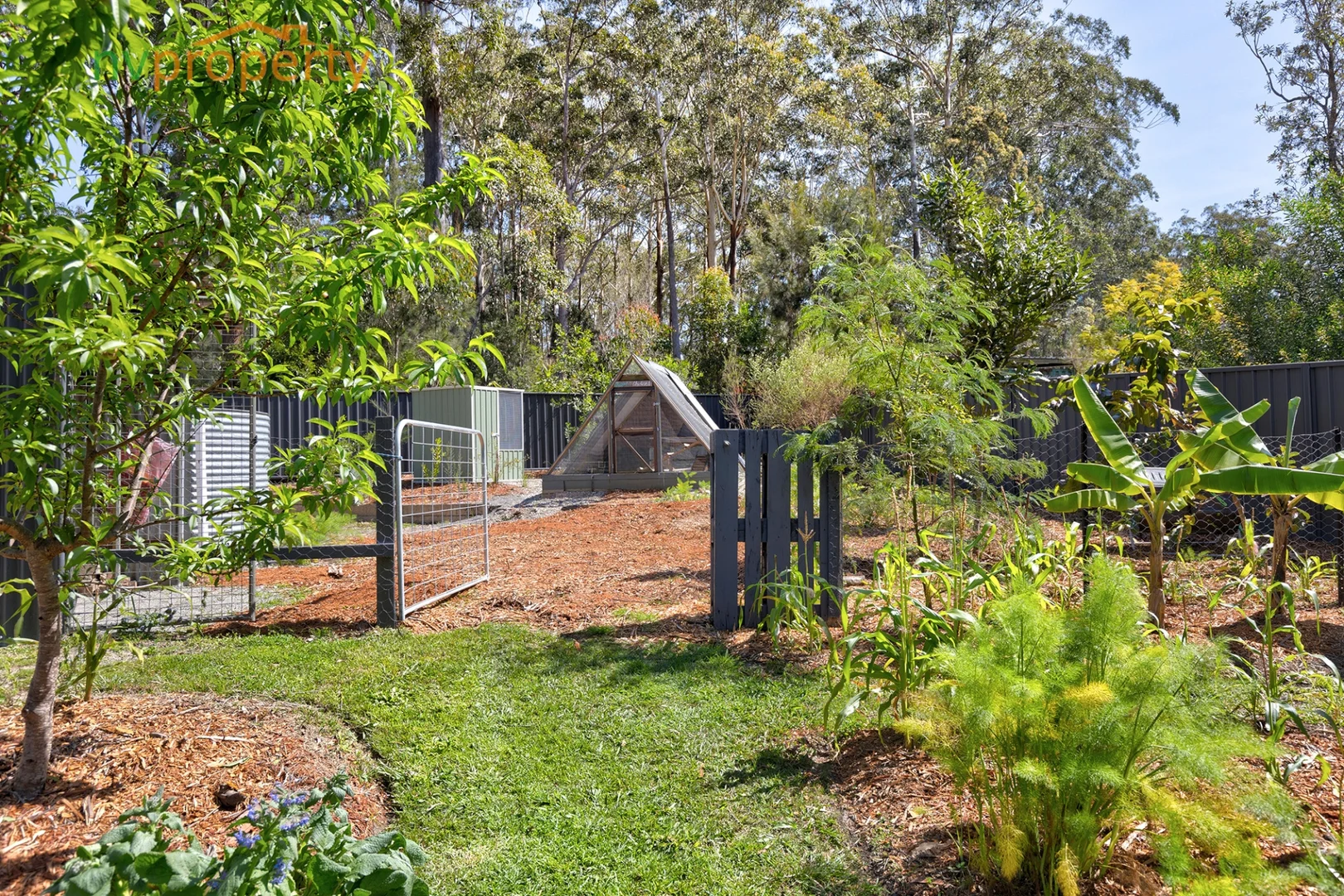 Additional image 18 of 12 Koala Close, Valla NSW 2448