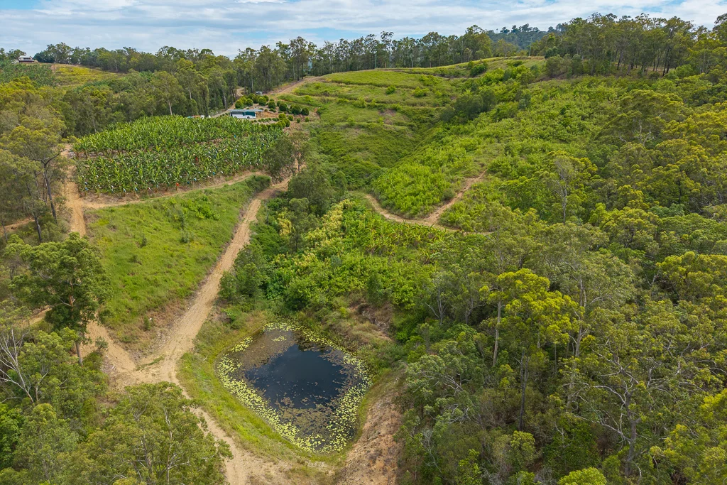 Additional image 6 of 349 Jackson Road, Wamuran QLD 4512