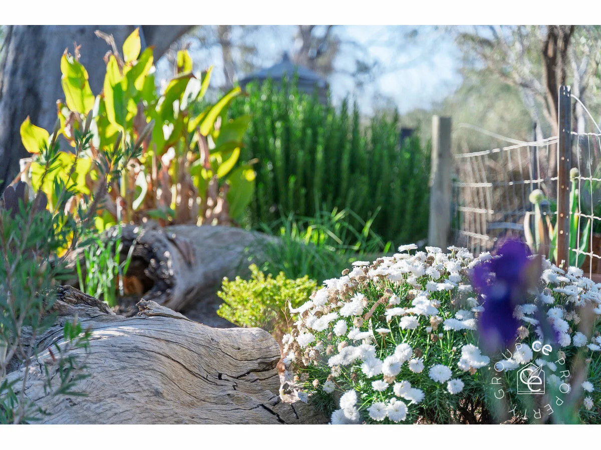 Additional image 37 of 76/1 South Punyelroo Road, Punyelroo SA 5353