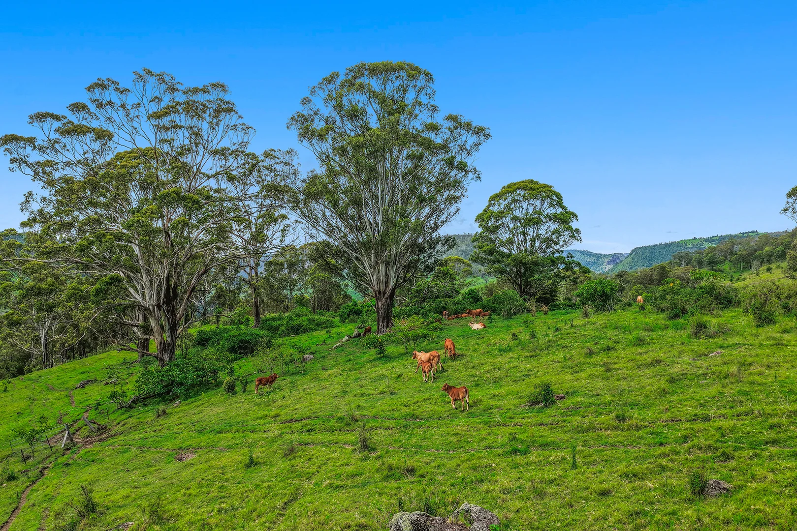 Additional image 10 of 248 Illinbah Road, Illinbah QLD 4275