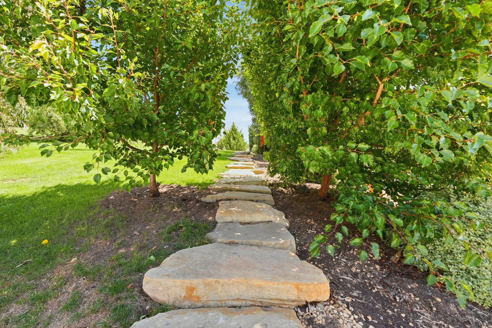 Additional image 6 of 436 Cove Hill Road, Honeywood TAS 7017