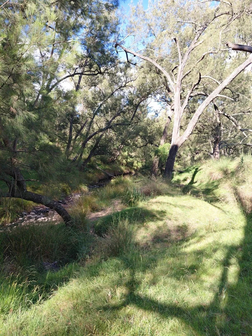 Additional image 6 of Lot 82 4108 Tent Hill Road, Emmaville NSW 2371