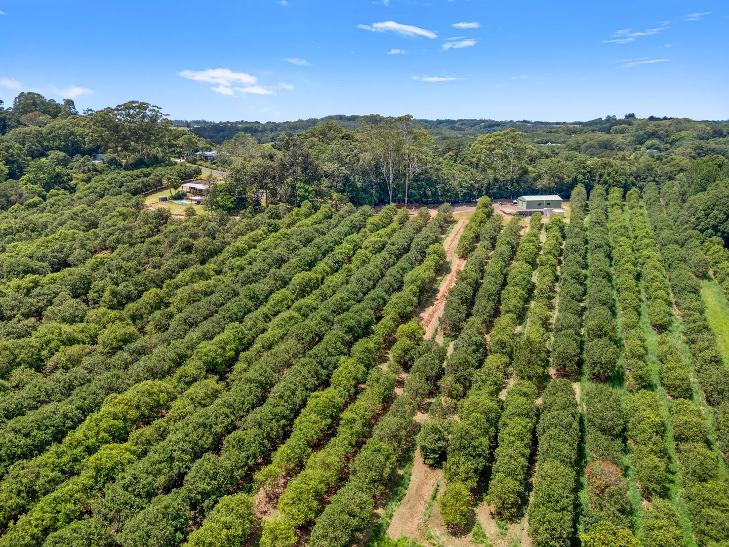 Additional image 29 of 475 Pearces Creek Road, Alstonvale NSW 2477