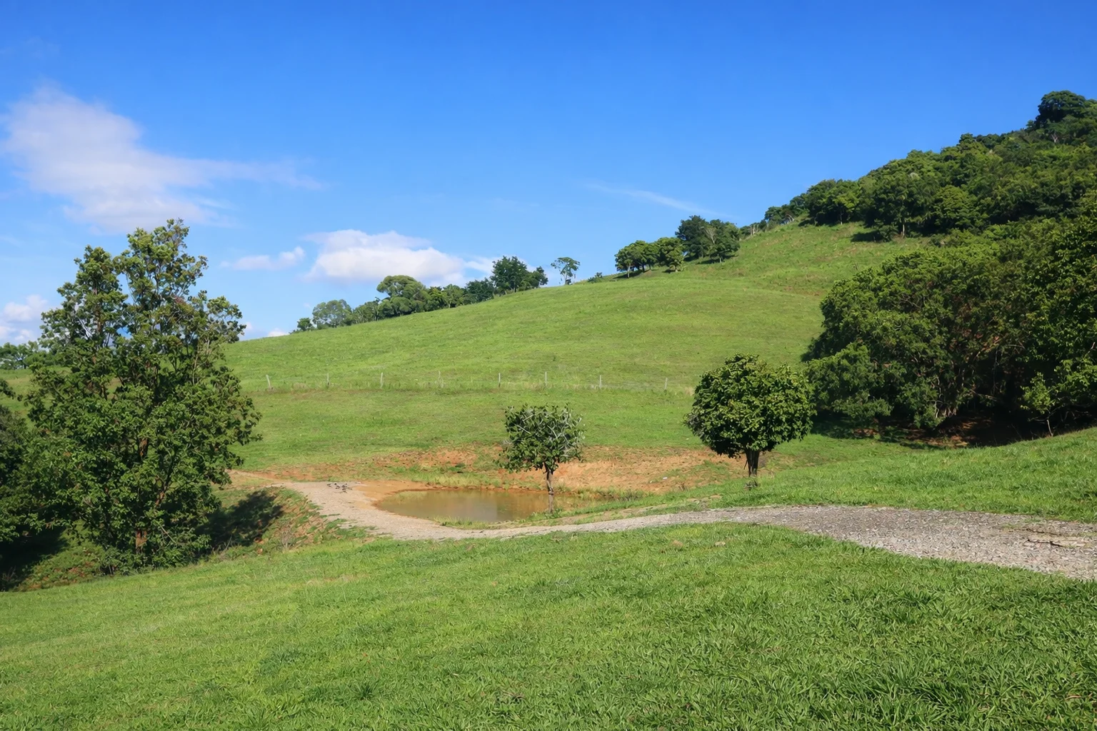 Additional image 3 of 205 Allen Road, Chatsworth QLD 4570