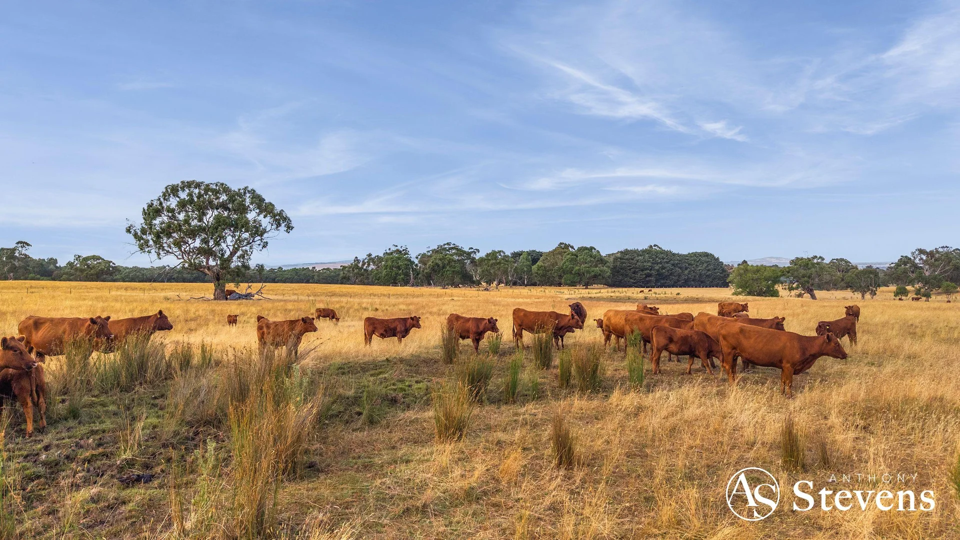 Additional image 8 of C/A-61 Pattinsons Lane, Goldie VIC 3435