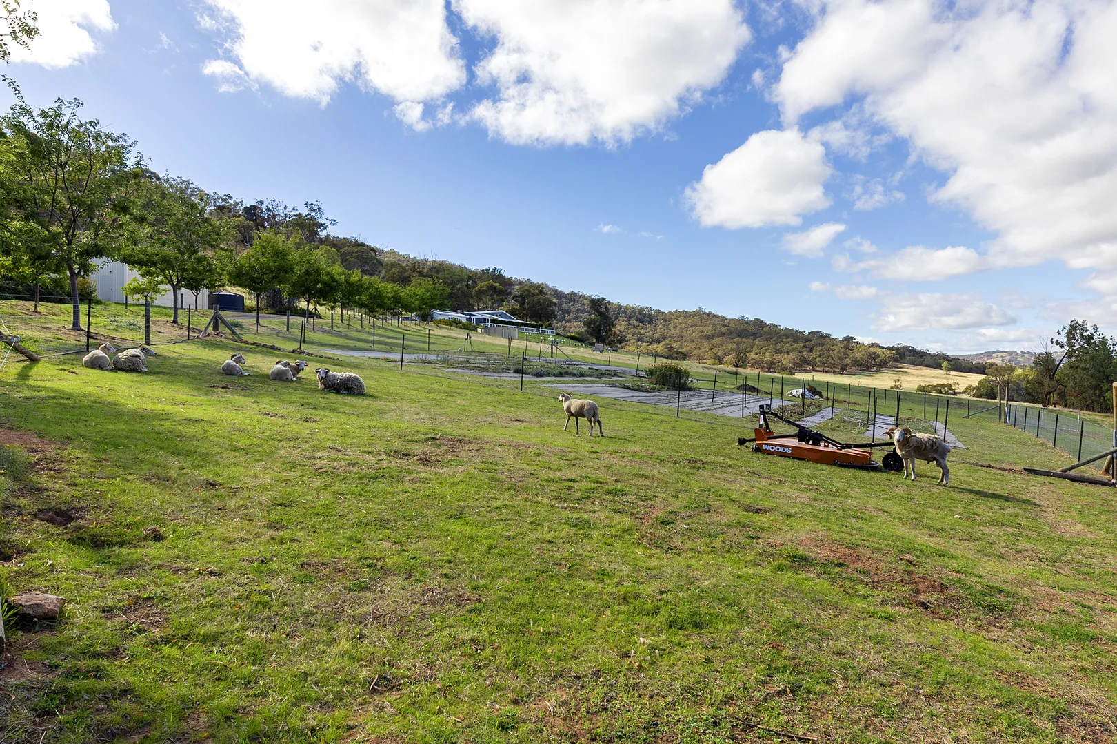 Additional image 24 of 282 Upper Taminick Rd, Glenrowan VIC 3675