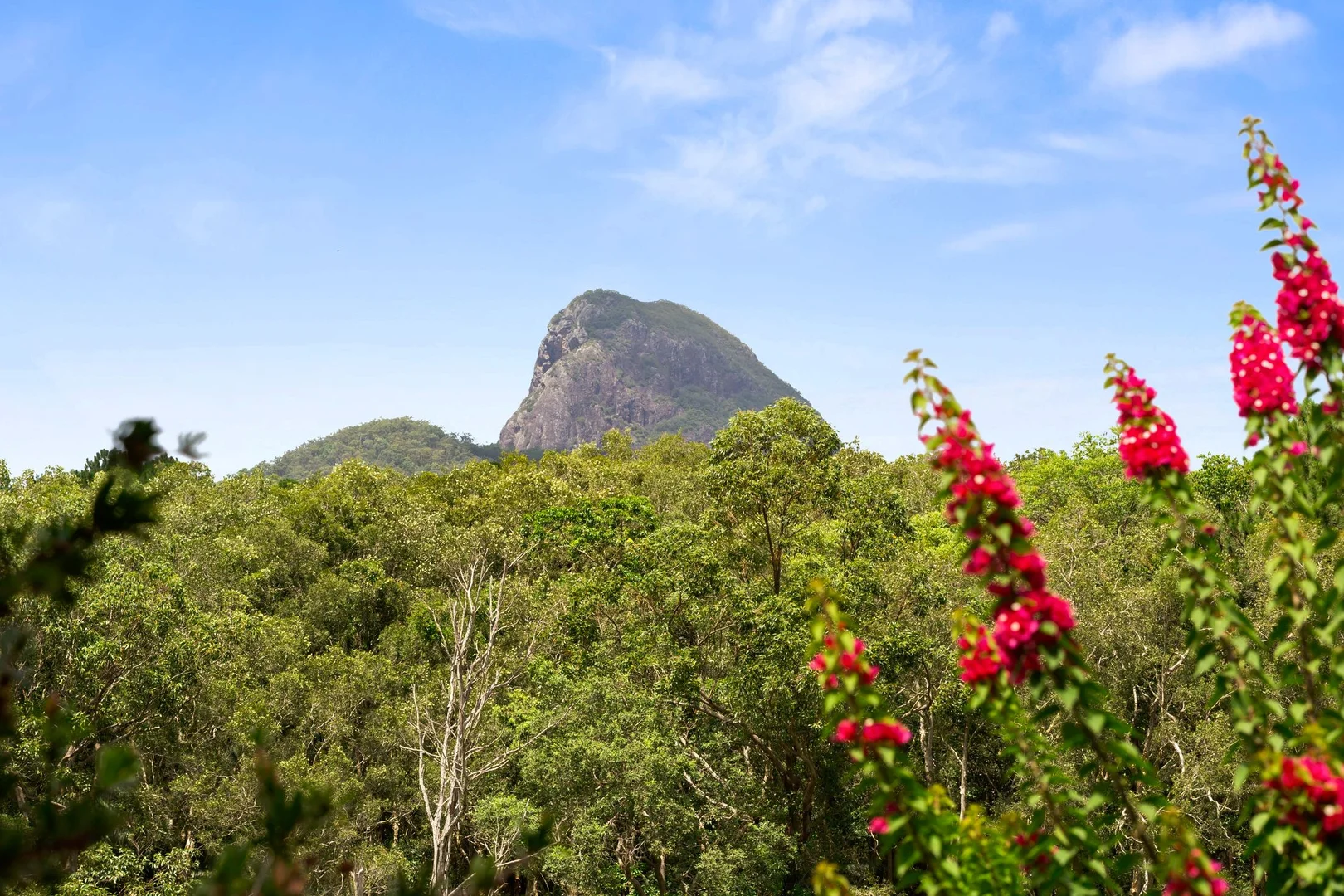 Additional image 16 of 23 Youngs Road, Glass House Mountains QLD 4518