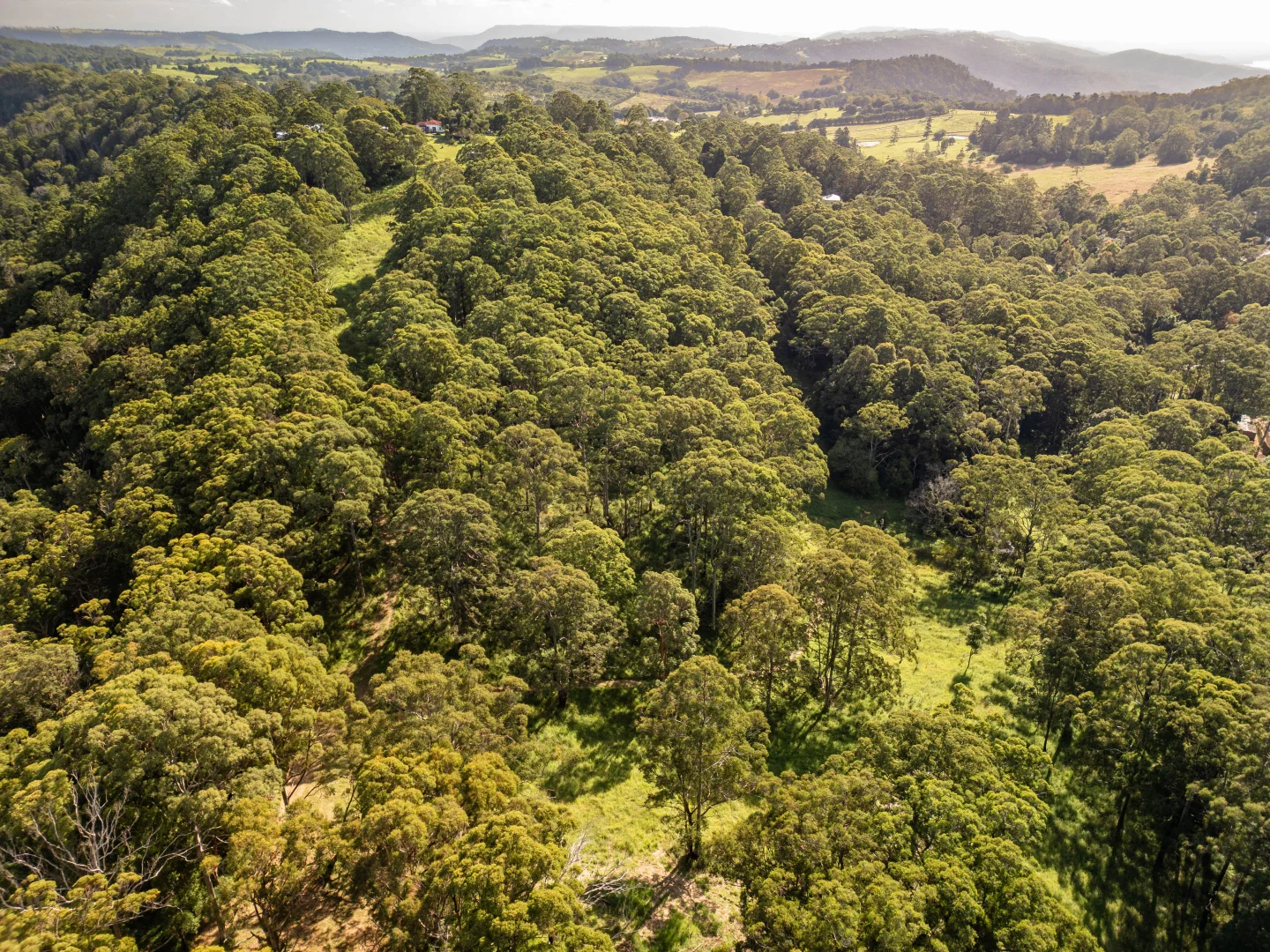 Additional image 13 of 618 Binna Burra Road, Beechmont QLD 4211