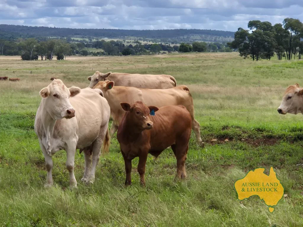 Additional image 20 of 296 Cloyna West Road, Cloyna QLD 4605