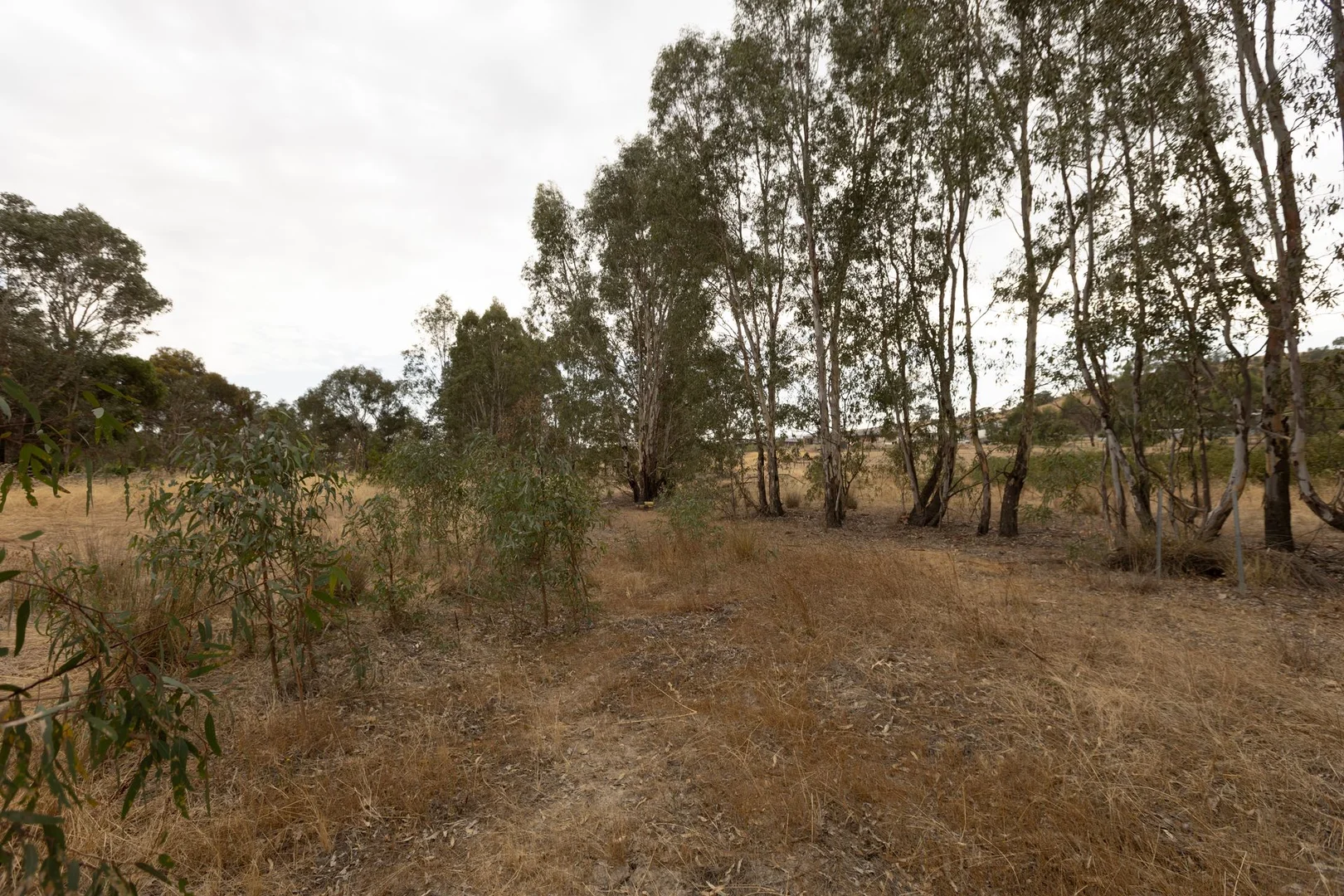 Additional image 4 of Avenel VIC 3664