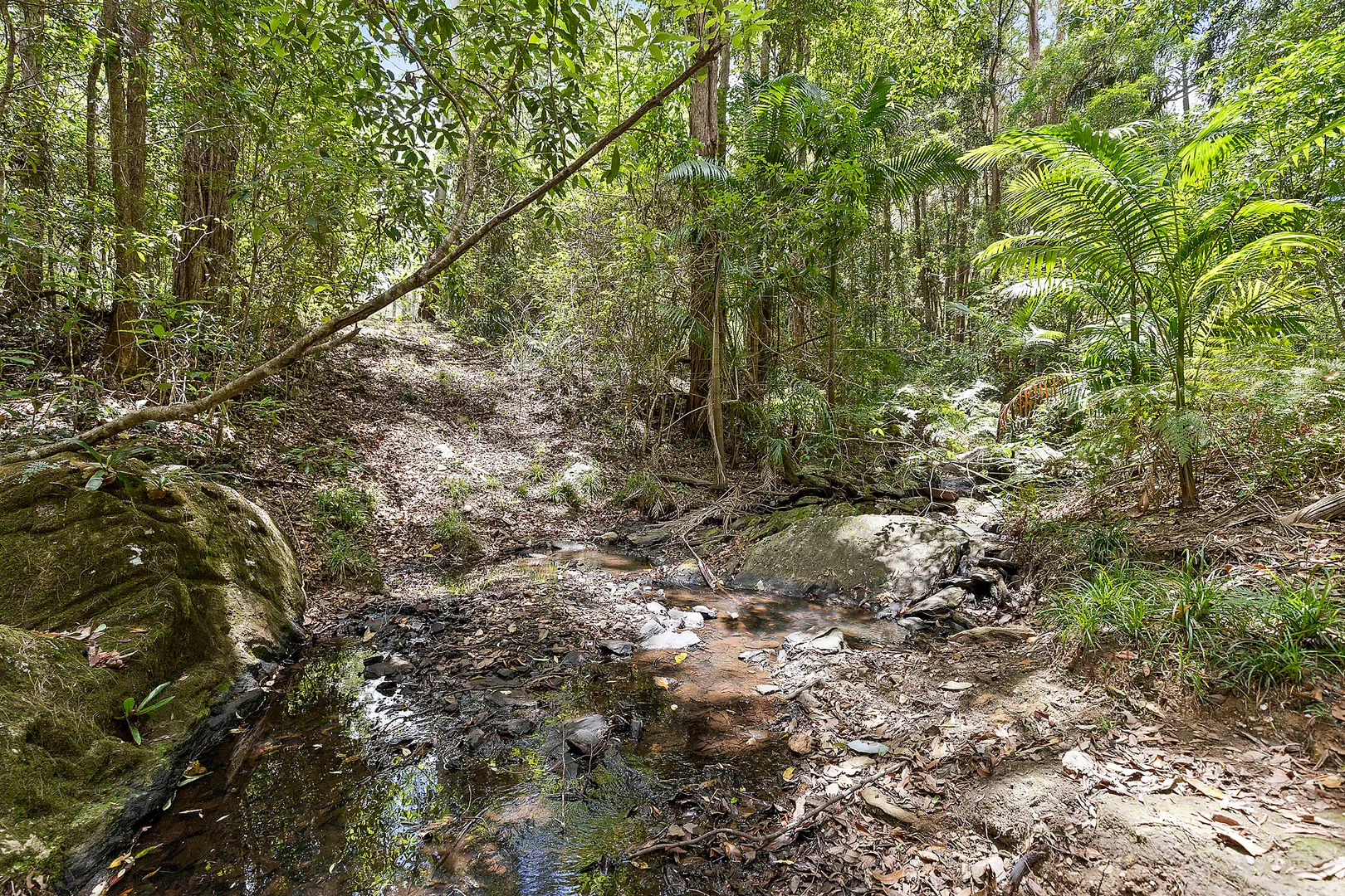 Additional image 23 of 55-105 Brodie Road, Mount Mee QLD 4521