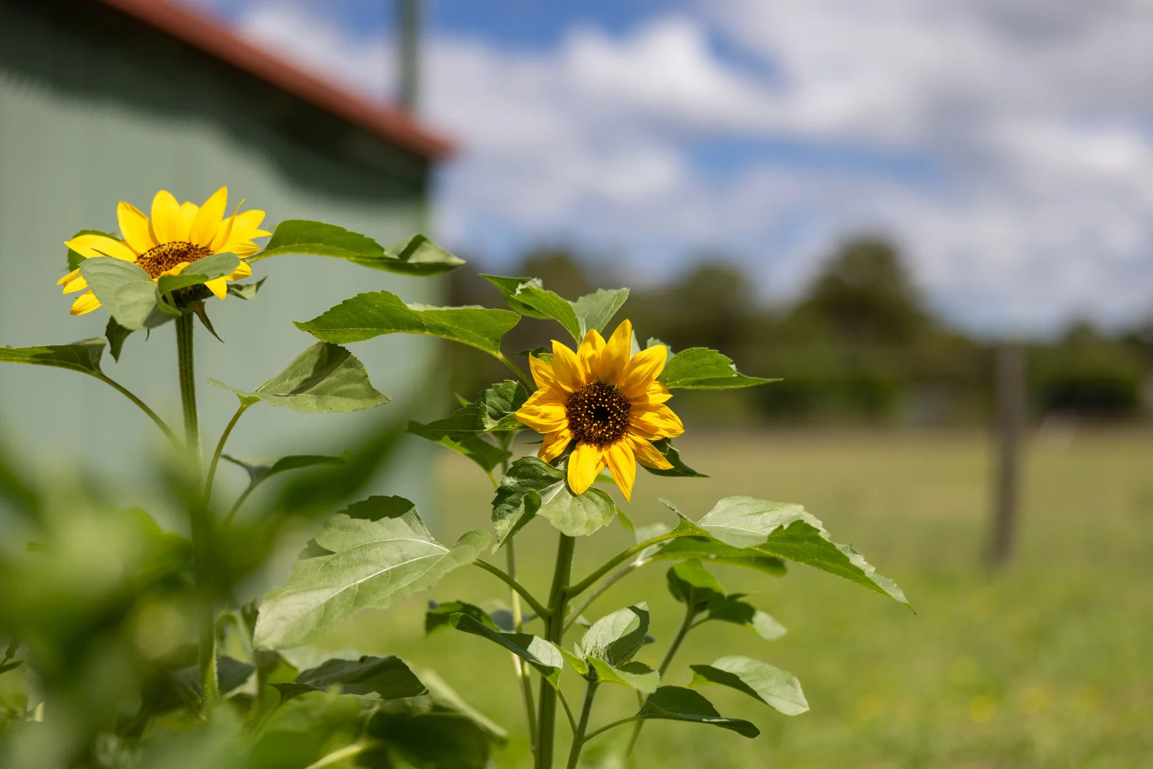 Additional image 30 of 2 Kylie Close, Taree NSW 2430