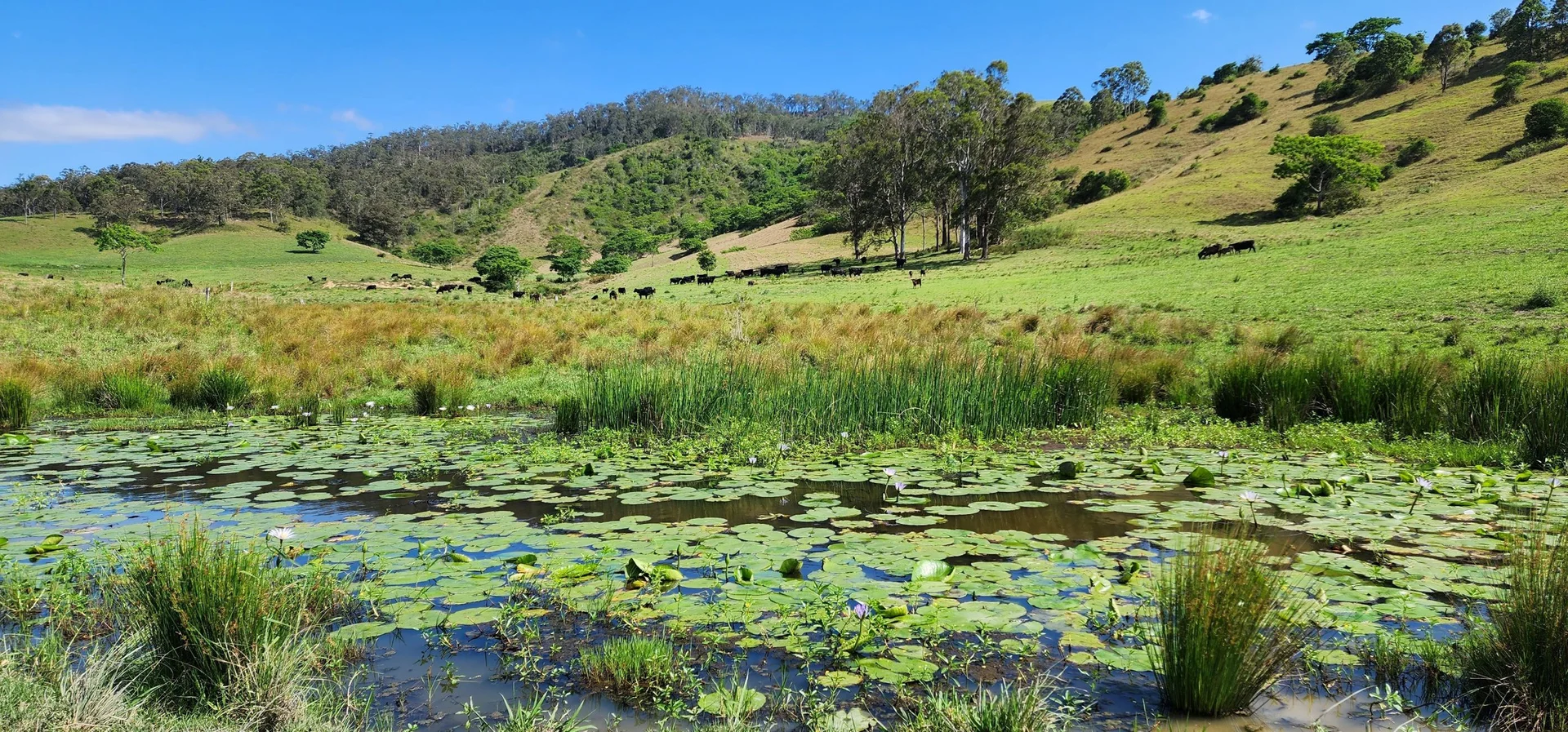 Additional image 19 of 5985 Oxley Highway, Ellenborough NSW 2446