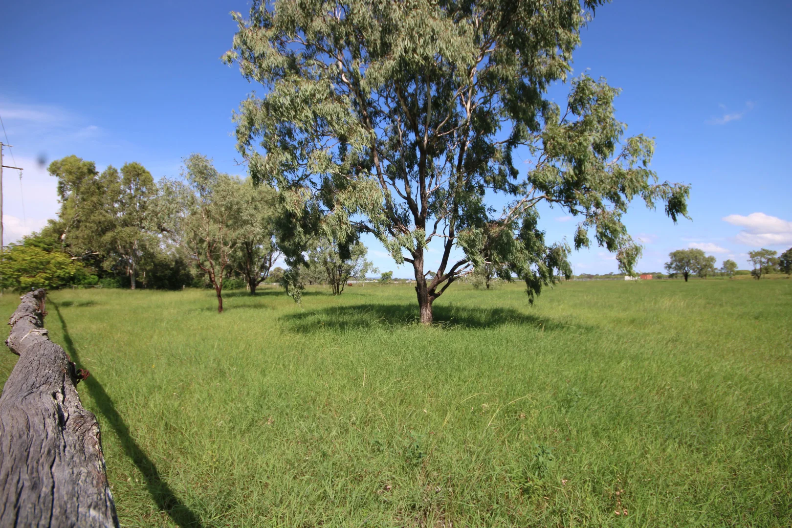 Additional image 25 of 366 GEORGE STREET, Depot Hill QLD 4700