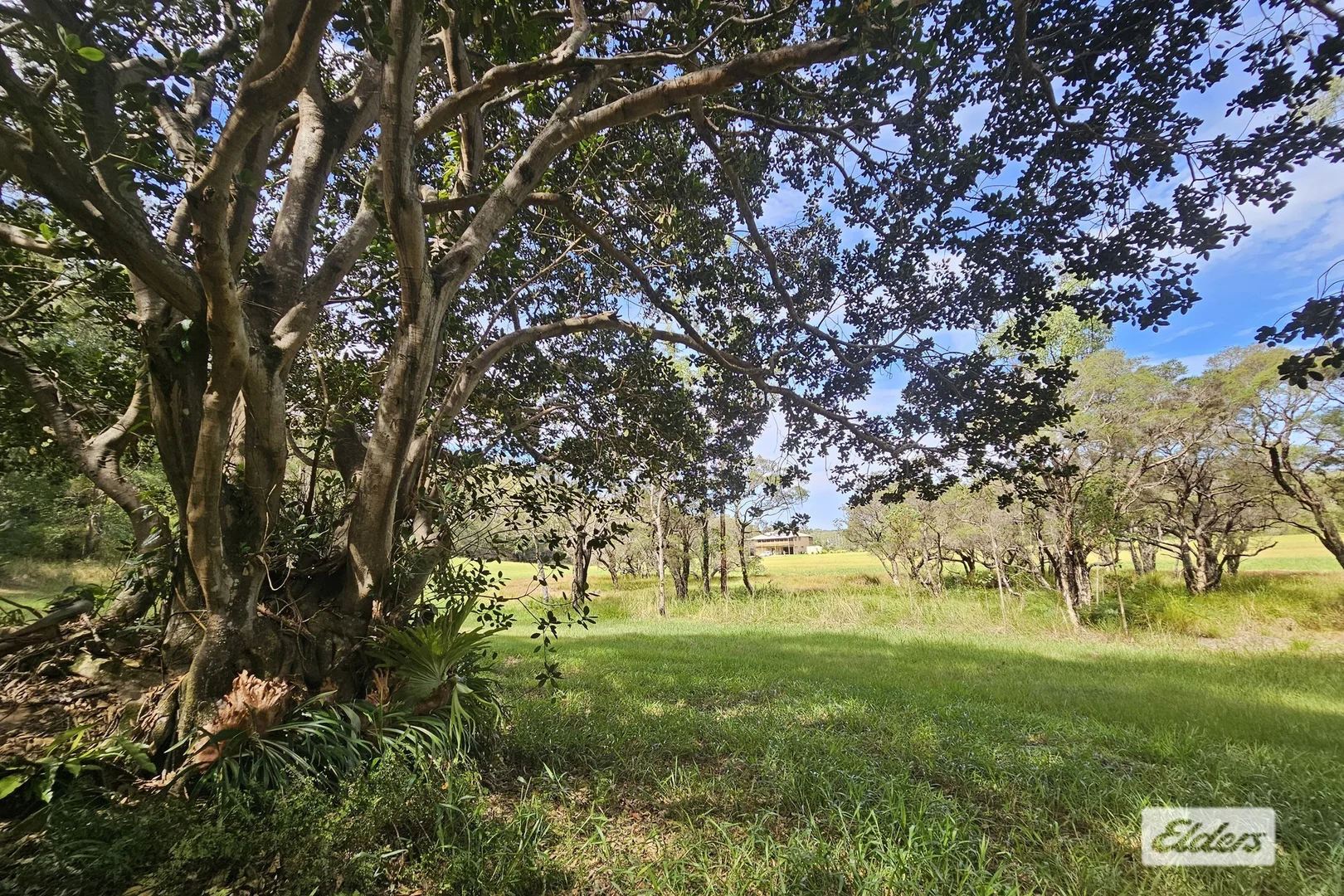 Additional image 30 of 2324B Armidale Road, Blaxlands Creek NSW 2460