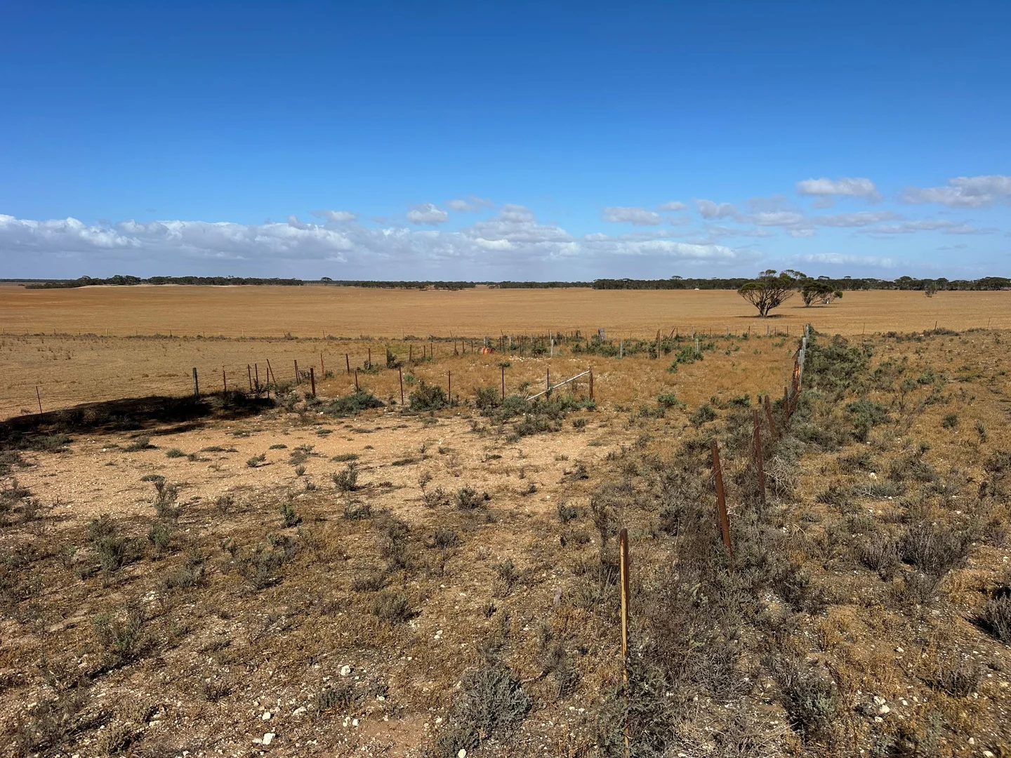 Additional image 5 of Lot 1 Schulzs Road, Black Hill SA 5353