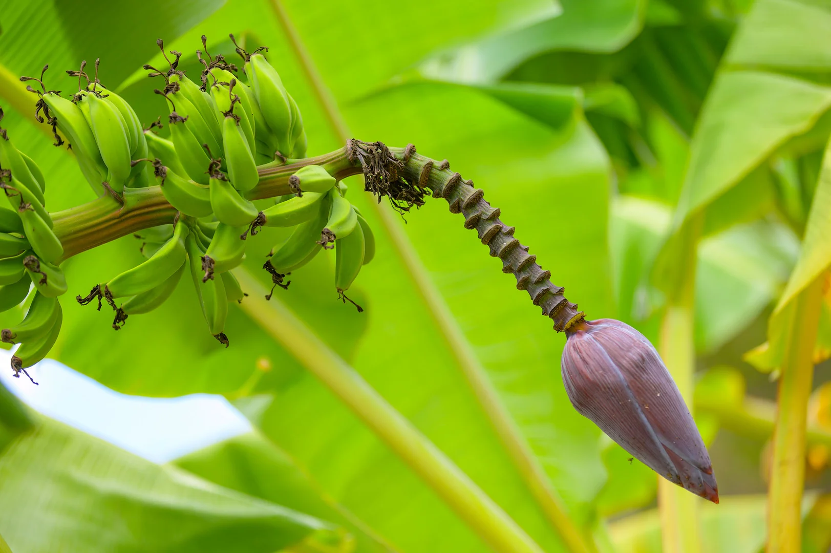 Additional image 29 of 47 Osborne Court, Wallu QLD 4570