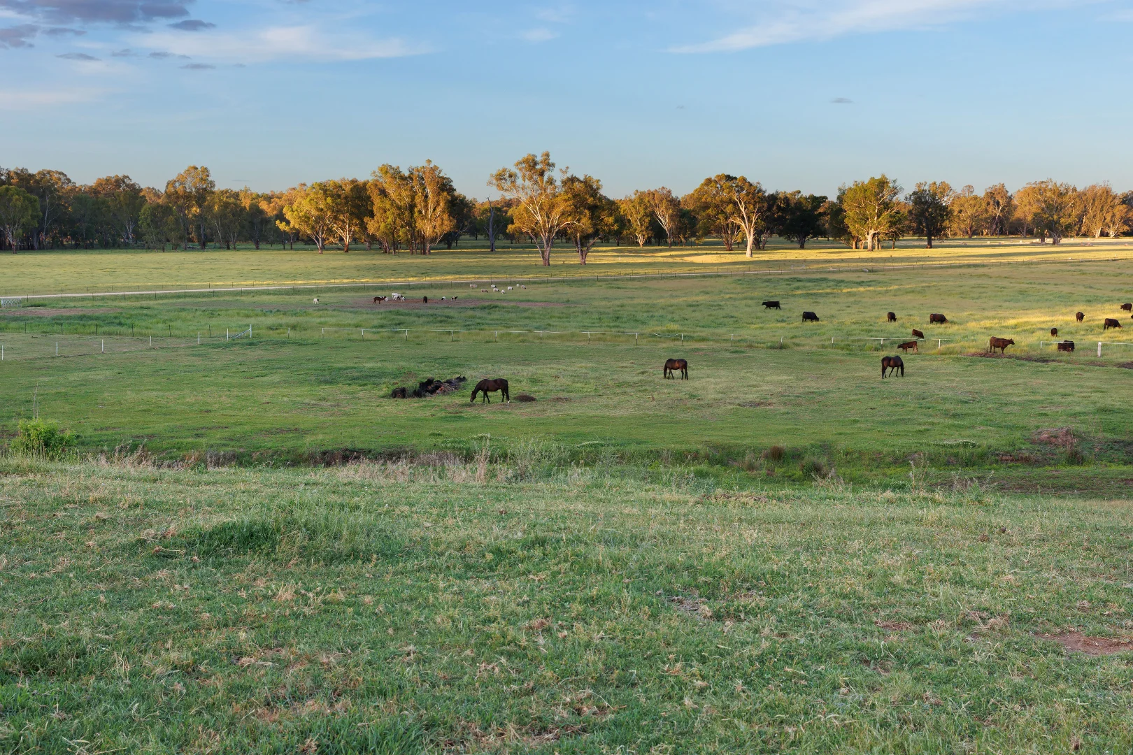 Additional image 22 of 427 Whytes Road, Baranduda VIC 3691