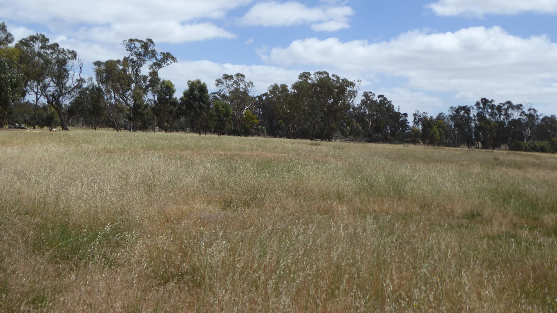 Additional image 19 of Lot 1 Walkington Hills Road, Frances SA 5262