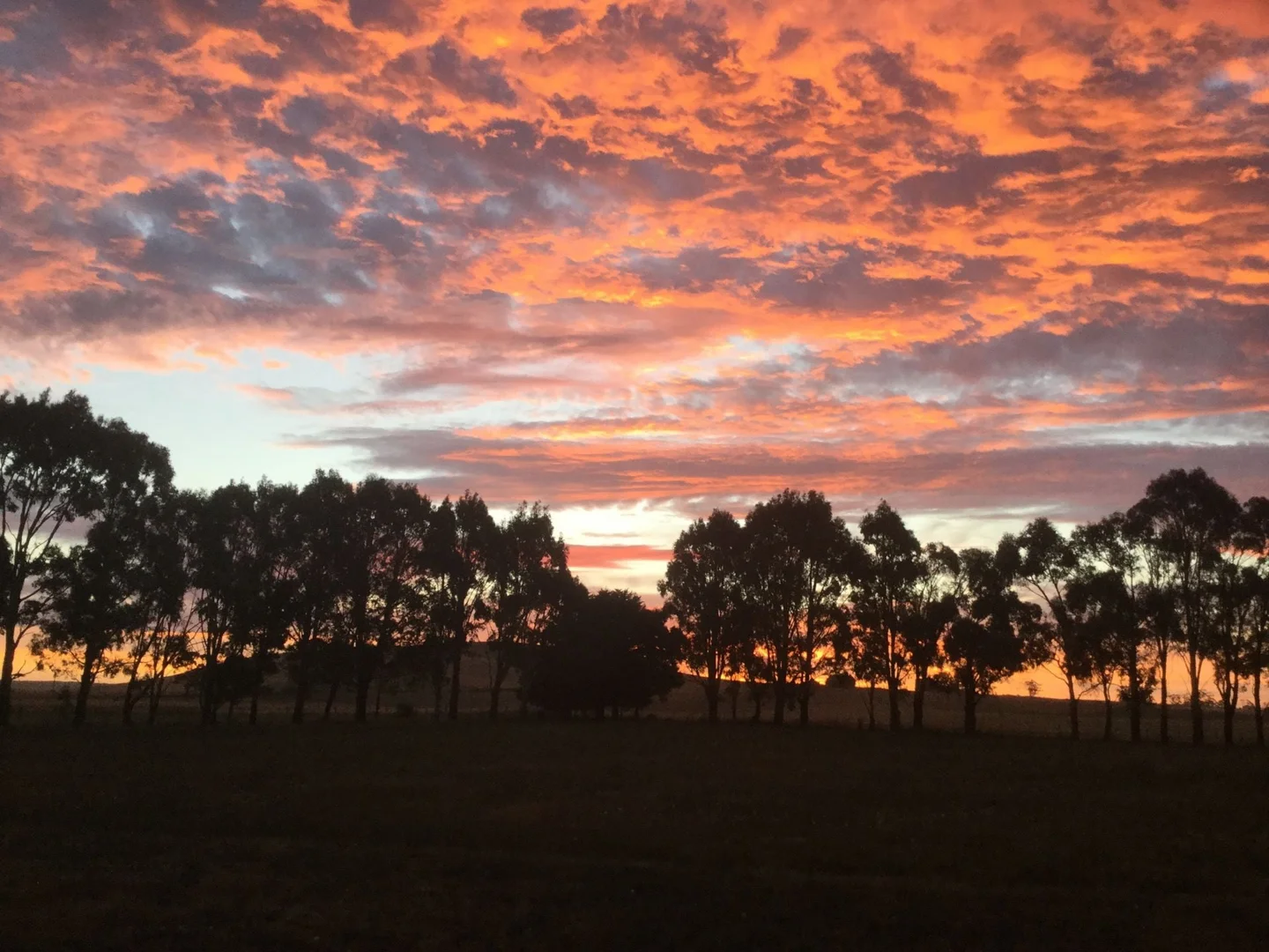 Additional image 25 of 25 McMahons Road, Glenlyon VIC 3461