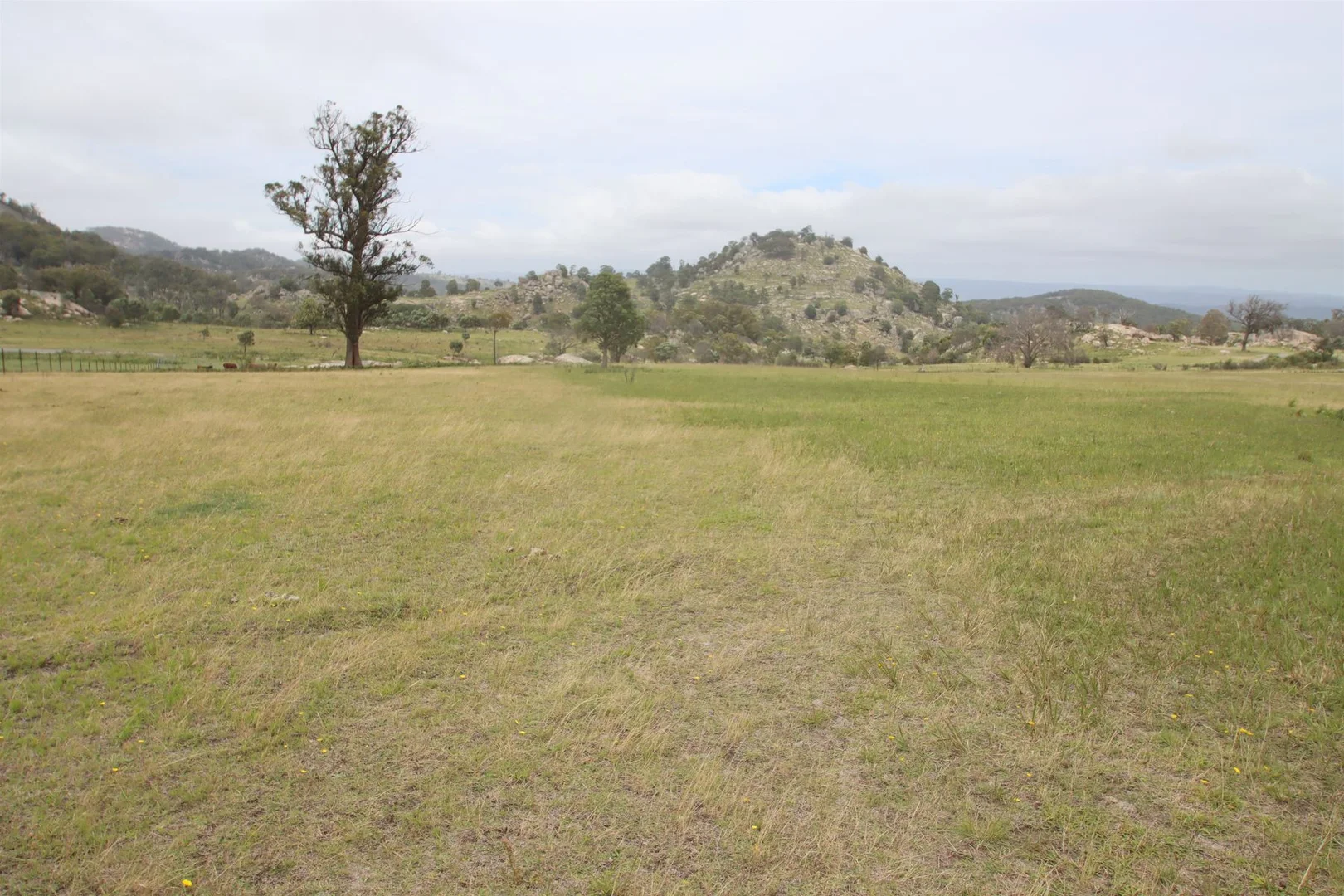 Additional image 8 of Lot 22 Kildare Road, Tenterfield NSW 2372